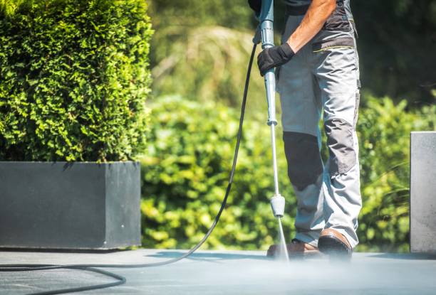 Best Building Exterior Washing  in Hampden Sydney, VA