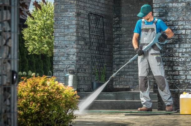 Best Soft Washing  in Hampden Sydney, VA